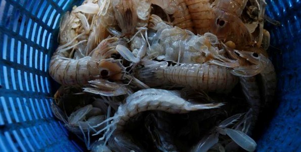 Cocina con galeras - Gastronomia.com España